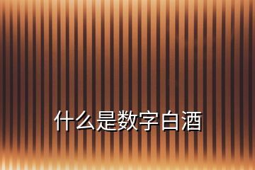 什么是数字白酒