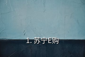 1. 苏宁E购