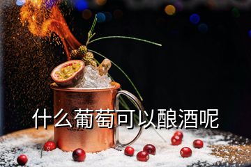 什么葡萄可以酿酒呢