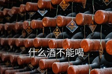 什么酒不能喝