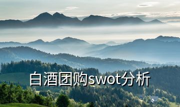 白酒团购swot分析