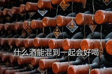 什么酒能混到一起会好喝