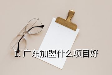 1. 广东加盟什么项目好