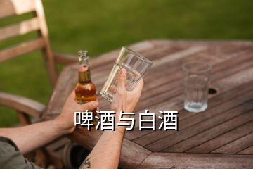 啤酒与白酒