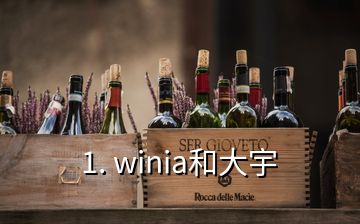 1. winia和大宇