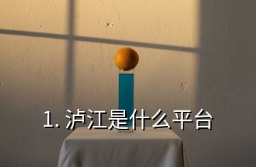 1. 泸江是什么平台