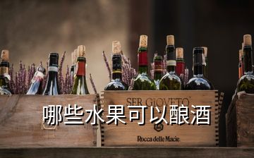 哪些水果可以酿酒