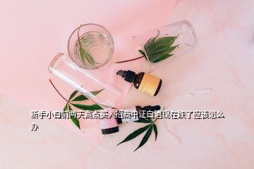 新手小白前两天高点买入招商中证白酒现在跌了应该怎么办