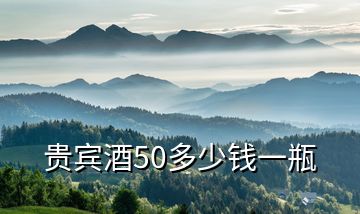 贵宾酒50多少钱一瓶