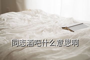 同志酒吧什么意思啊