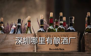 深圳哪里有酿酒厂