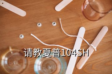 请教夏普104SH