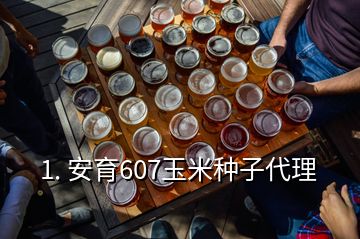 1. 安育607玉米种子代理