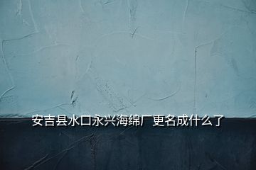 安吉县水口永兴海绵厂更名成什么了