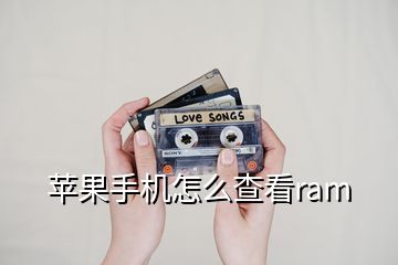 苹果手机怎么查看ram