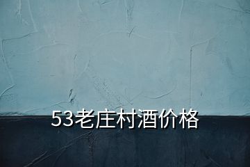 53老庄村酒价格