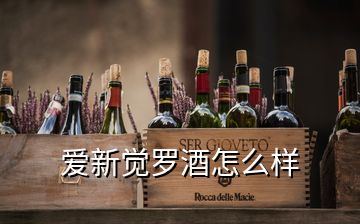 爱新觉罗酒怎么样