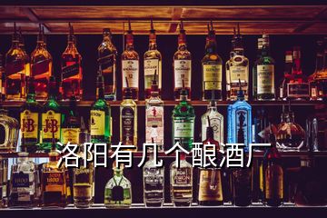 洛阳有几个酿酒厂