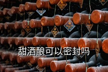 甜酒酿可以密封吗