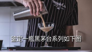 鉴定一瓶黑茅台系列如下图