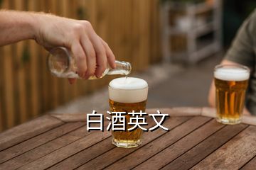 白酒英文