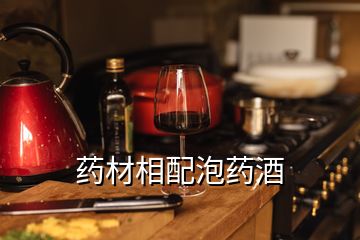 药材相配泡药酒