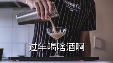 过年喝啥酒啊