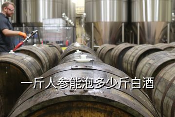 一斤人参能泡多少斤白酒