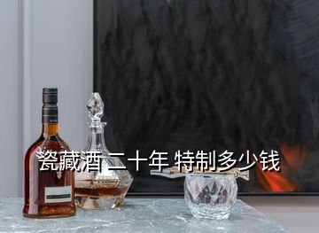 瓷藏酒 二十年 特制多少钱