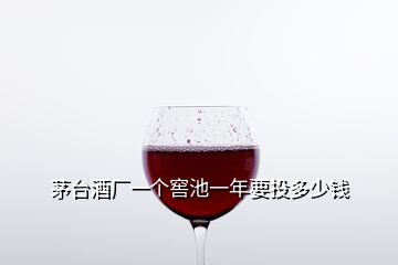 茅台酒厂一个窖池一年要投多少钱