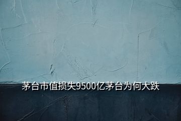 茅台市值损失9500亿茅台为何大跌