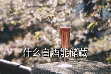 什么白酒能储藏