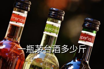 一瓶茅台酒多少斤