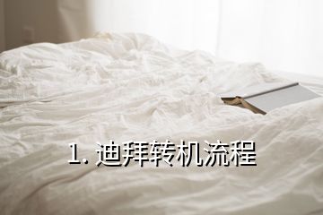 1. 迪拜转机流程