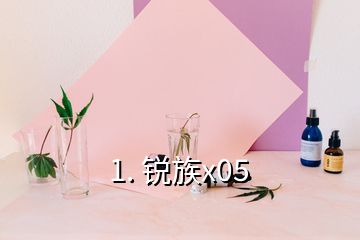 1. 锐族x05