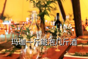 玛珈一斤能泡几斤酒