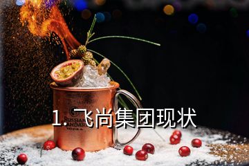 1. 飞尚集团现状