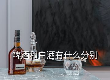 啤酒和白酒有什么分别