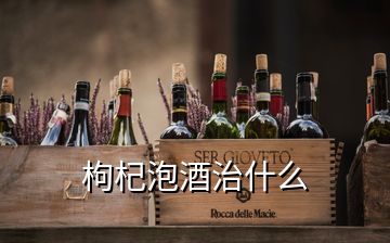 枸杞泡酒治什么