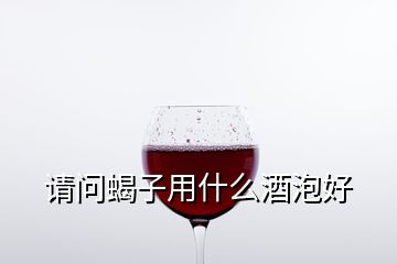 请问蝎子用什么酒泡好