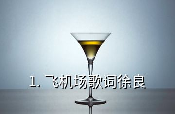 1. 飞机场歌词徐良