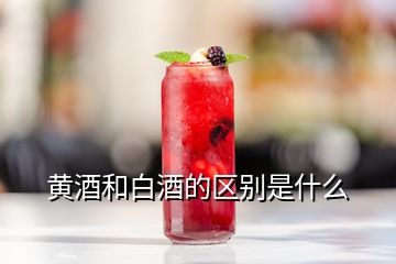 黄酒和白酒的区别是什么