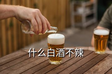 什么白酒不辣