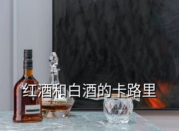 红酒和白酒的卡路里