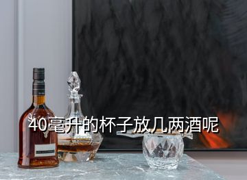 40毫升的杯子放几两酒呢