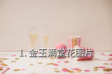 1. 金玉满堂花图片