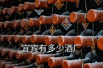 宜宾有多少酒厂