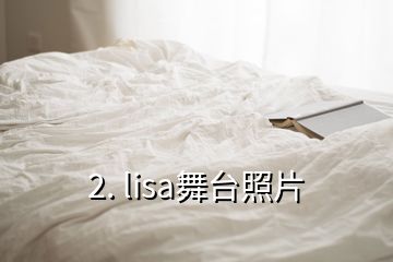 2. lisa舞台照片