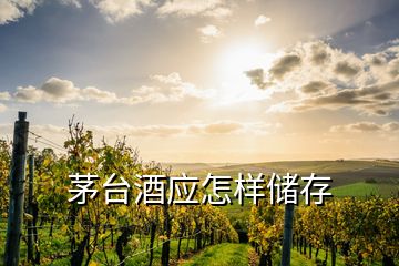 茅台酒应怎样储存