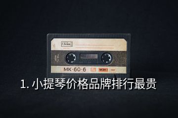 1. 小提琴价格品牌排行最贵